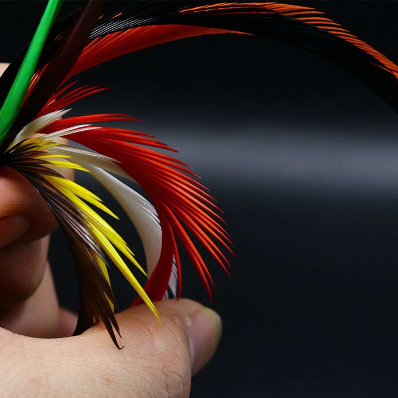 ขนนกไบโอตจากห่าน 20 ชิ้น/ถุง ค - Fishing Lure Popper บทวิจารณ์และราคา