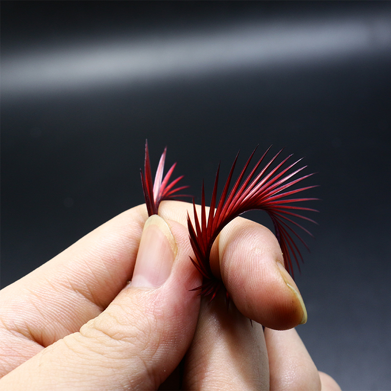 ขนนกไบโอตจากห่าน 20 ชิ้น/ถุง ค - Fishing Lure Popper บทวิจารณ์และราคา